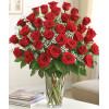 Red Roses With Babies Breath : 36 Red Roses 