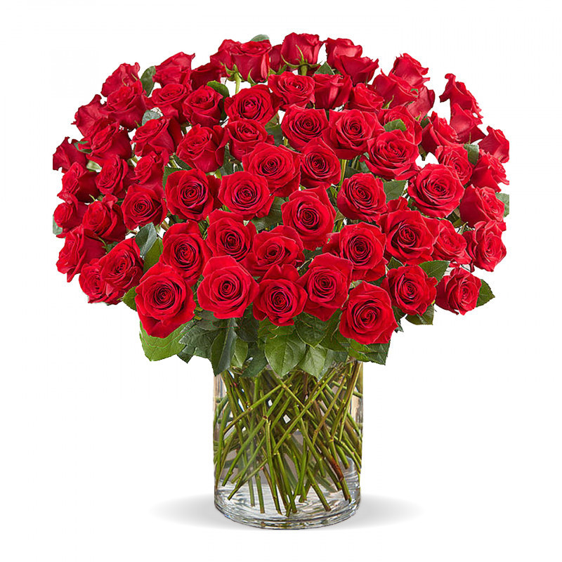 100 Red Roses - Same Day Delivery