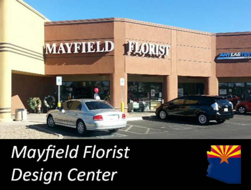 Tucson Flowers - Tucson AZ Florist, Flower Shop Tucson AZ ...