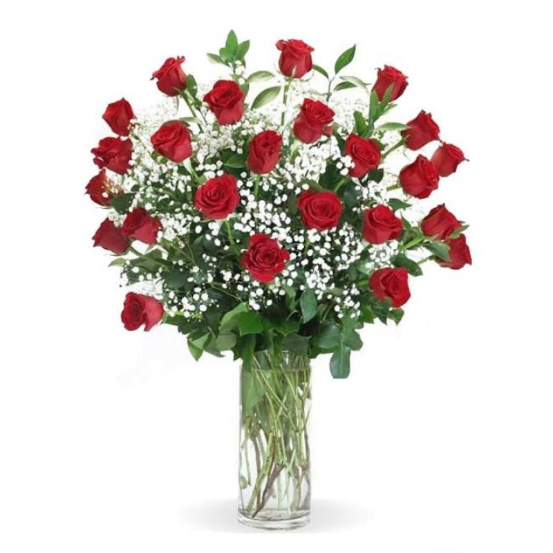 Red Roses With Babies Breath - Same Day Delivery