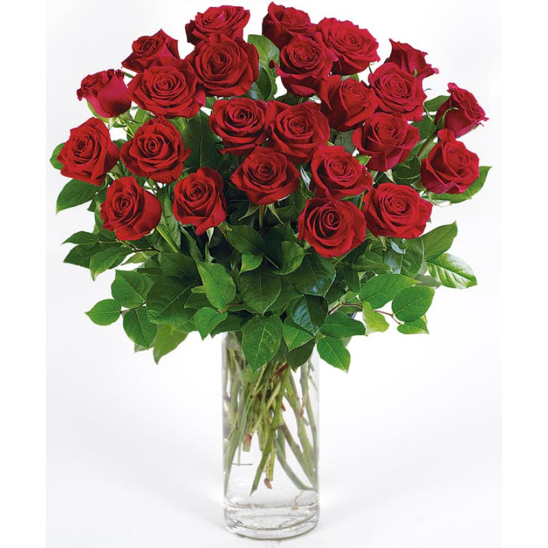 CLASSIC LONG STEM RED ROSES - Same Day Delivery
