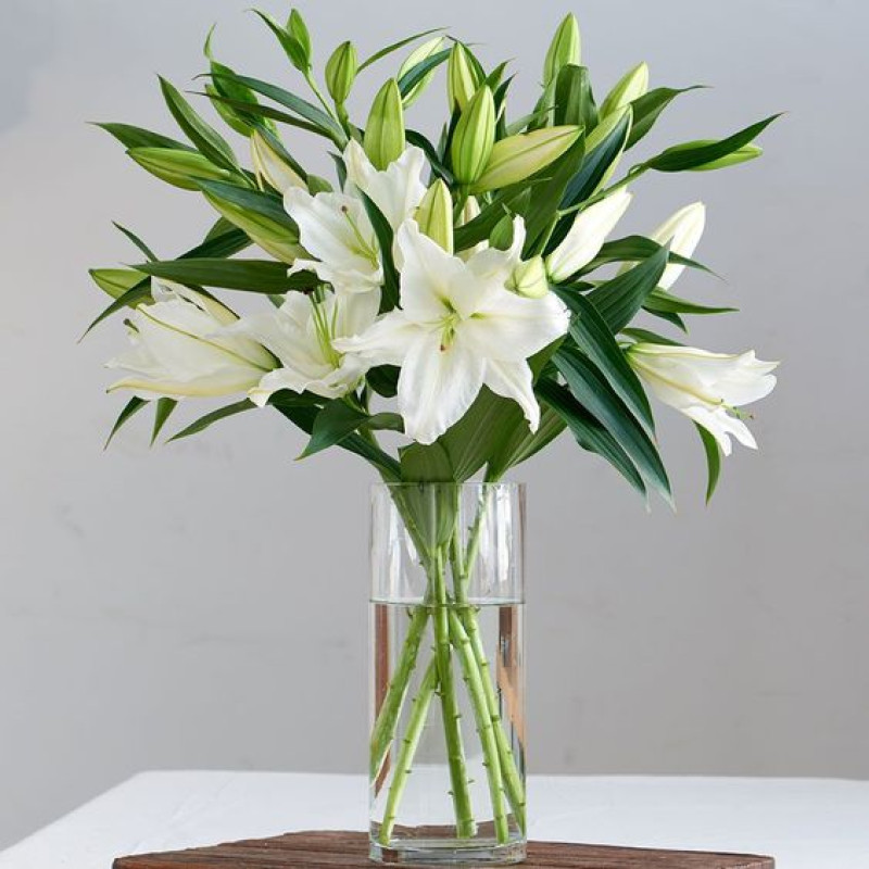 Lovely Lilies - Same Day Delivery