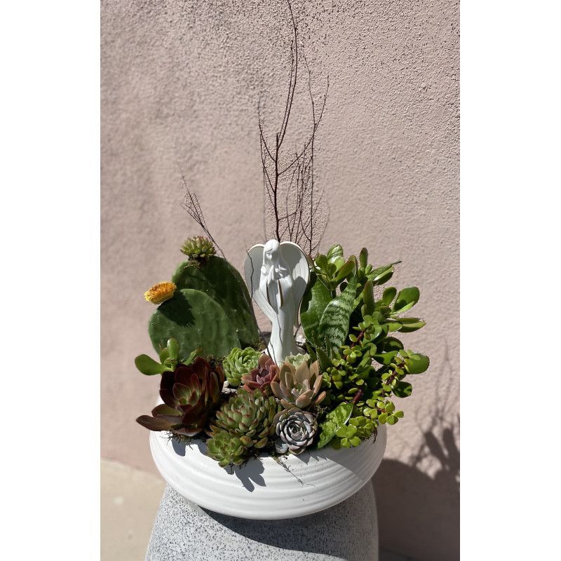 Angel Of Grace Succulent Garden - Same Day Delivery