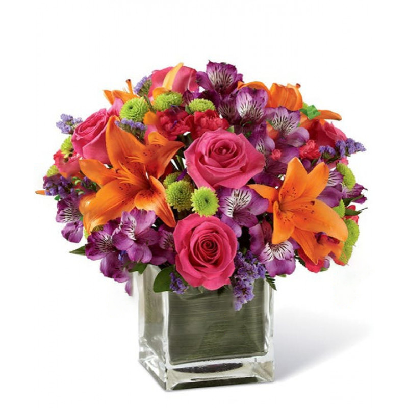 Mayfields Celebrate - Same Day Delivery