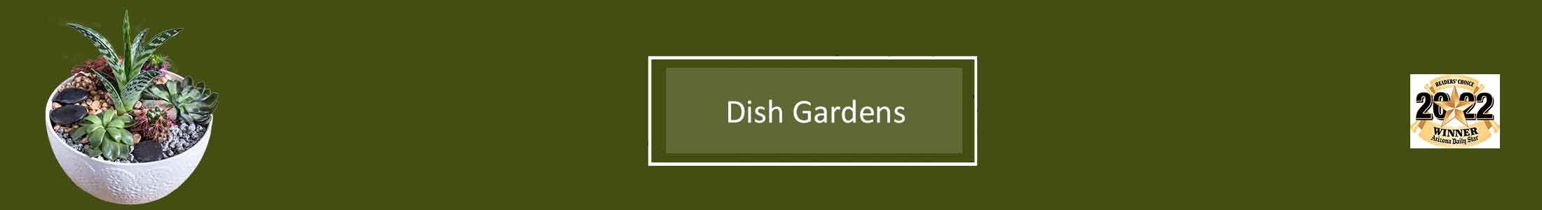 Dish Gardens, European Dish Gardens