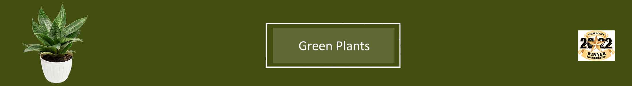 Green Plants, Florist Tucson Arizona