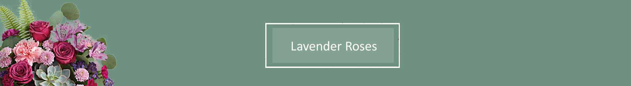 Lavender Roses, Long Stem Lavender Roses