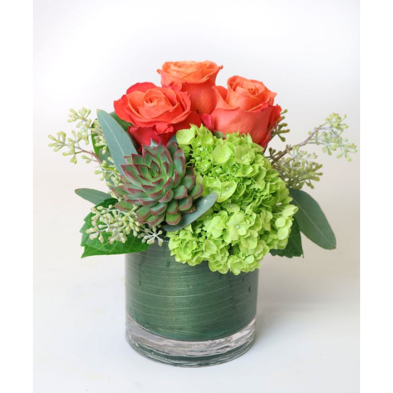 Payson Sensation - Same Day Delivery