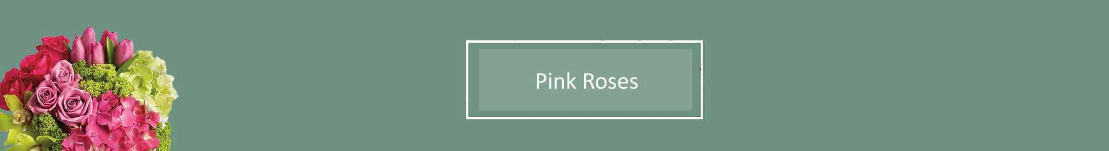 Pink Roses, Pink Long Stem Roses