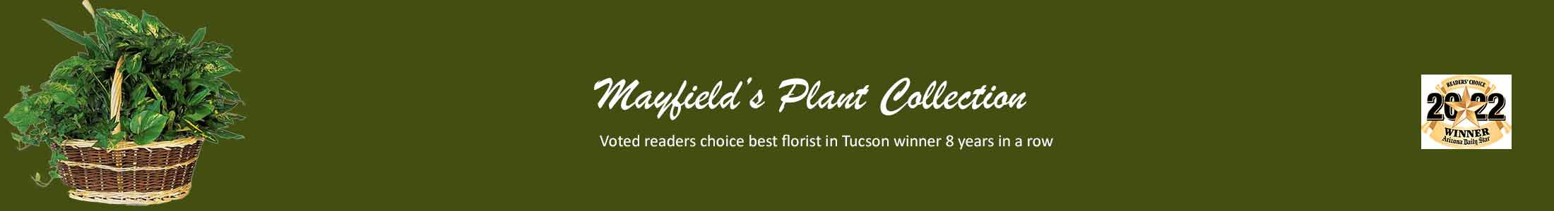 Green Plants, Succulent Plants, Flowering Plants