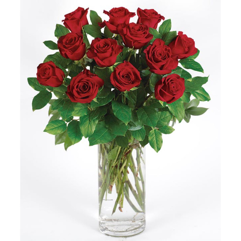 CLASSIC LONG STEM RED ROSES - Same Day Delivery