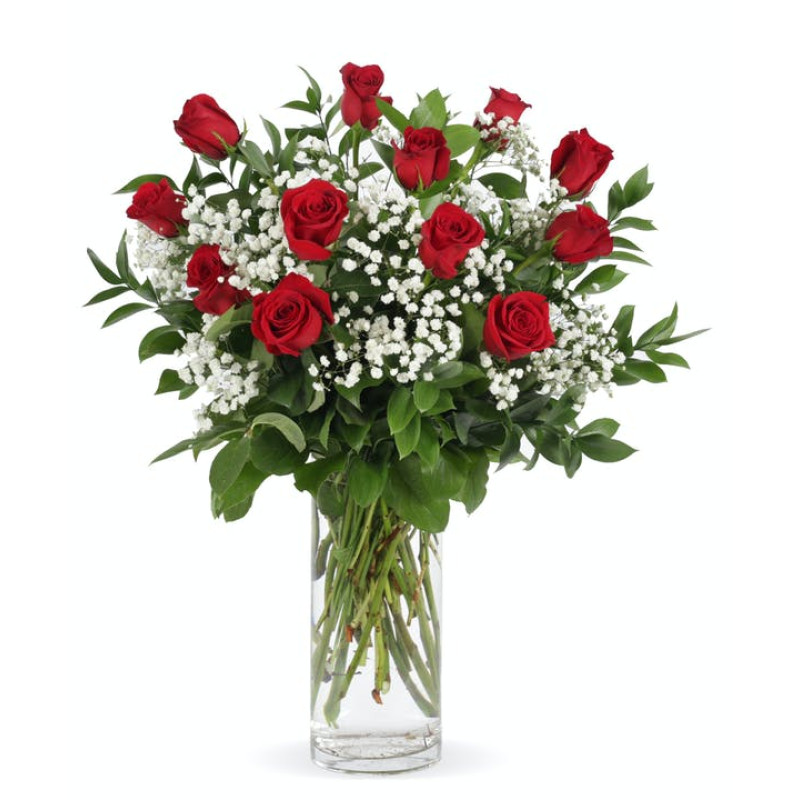 Red Roses With Babies Breath - Same Day Delivery