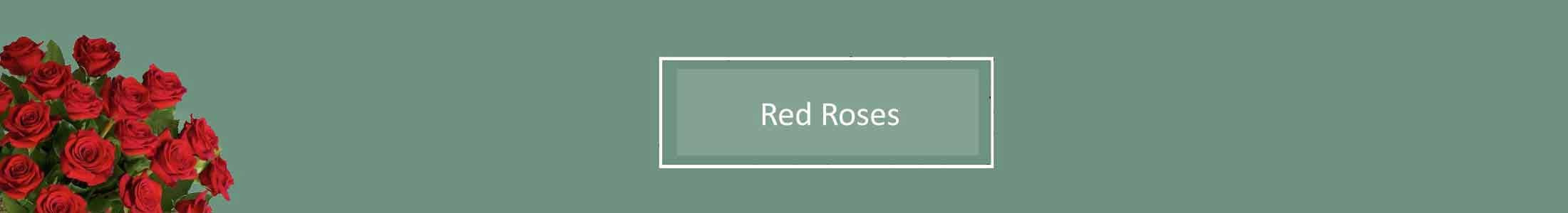 Red Roses, Red Long Stem Roses