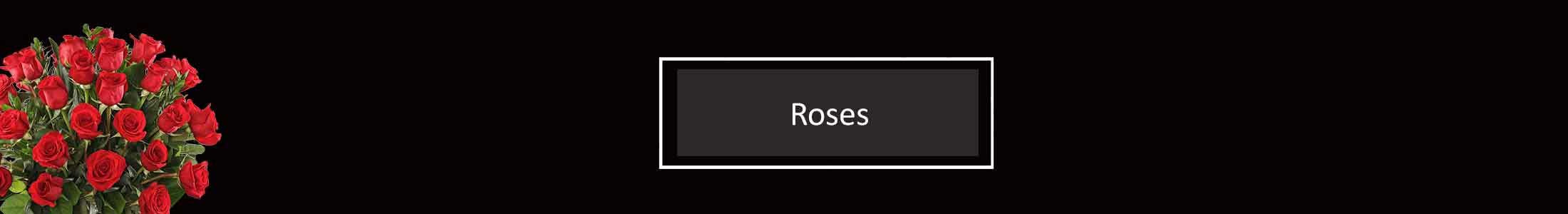 Garden Roses, Long Stem Roses, Spray Roses