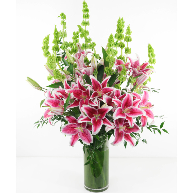 Soaring Stargazers - Same Day Delivery