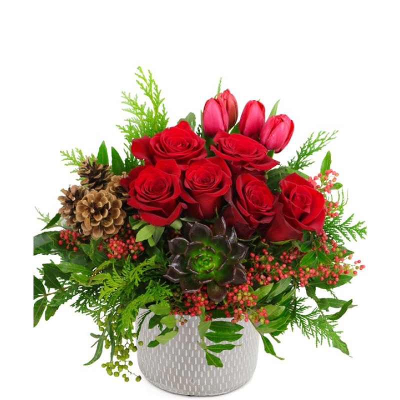 Scarlet Greetings - Same Day Delivery