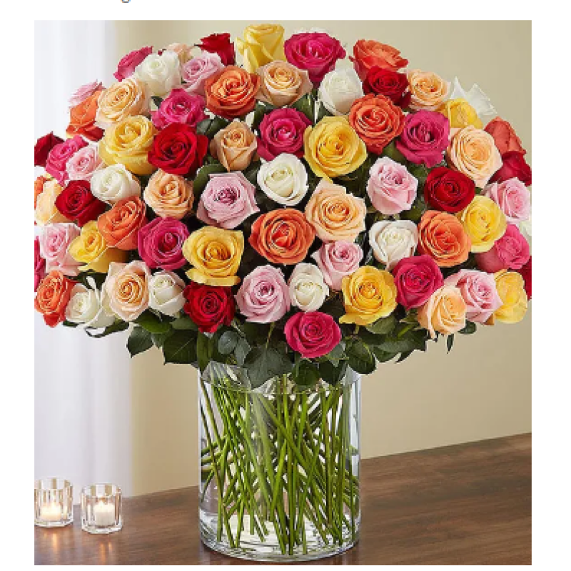 100 MULTI COLORED ROSES - Same Day Delivery
