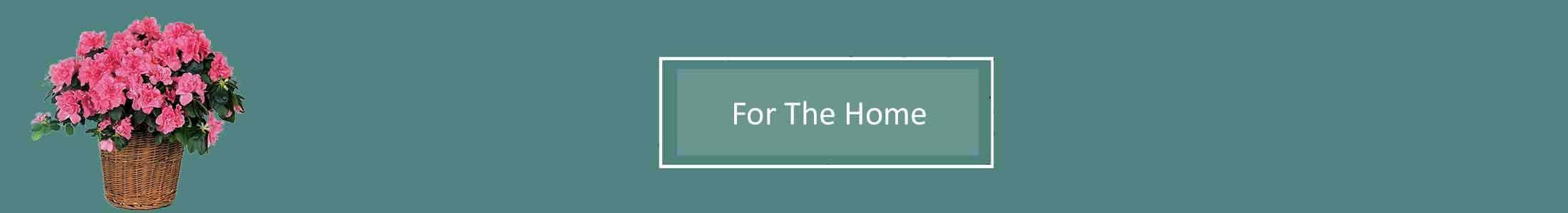 Sympathy Flowers For The Home