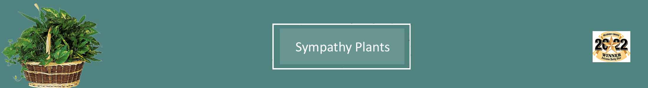 Sympathy Plants, Funeral Plants