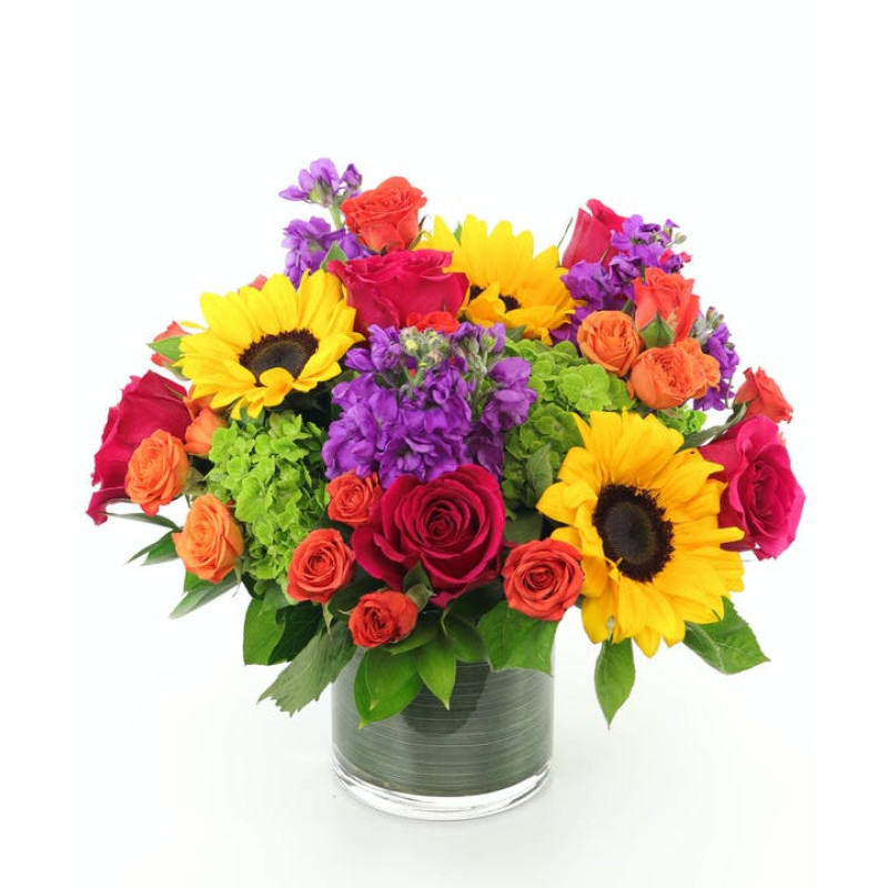 Bright As Day - Same Day Delivery