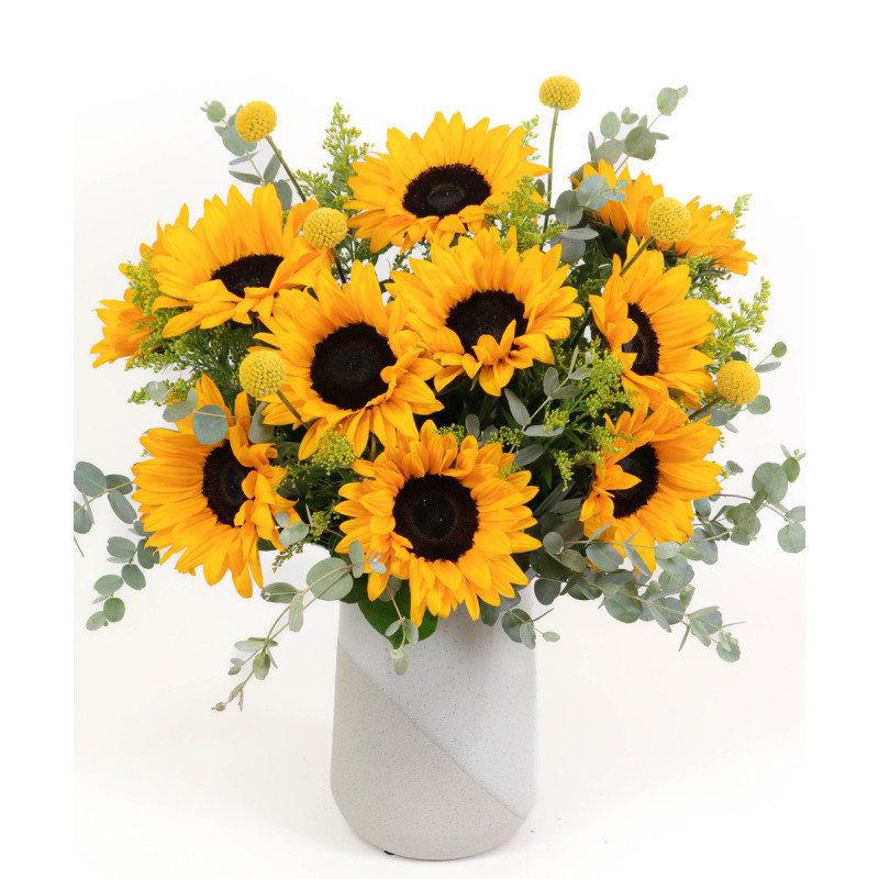 Mayfields Sunny Daze - Same Day Delivery