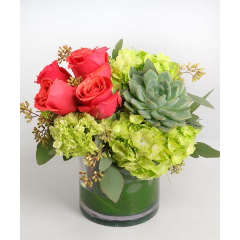 Payson Sensation - Same Day Delivery