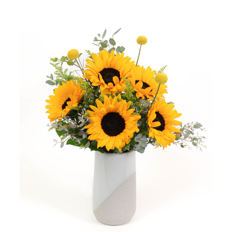 Mayfields Sunny Daze - Same Day Delivery