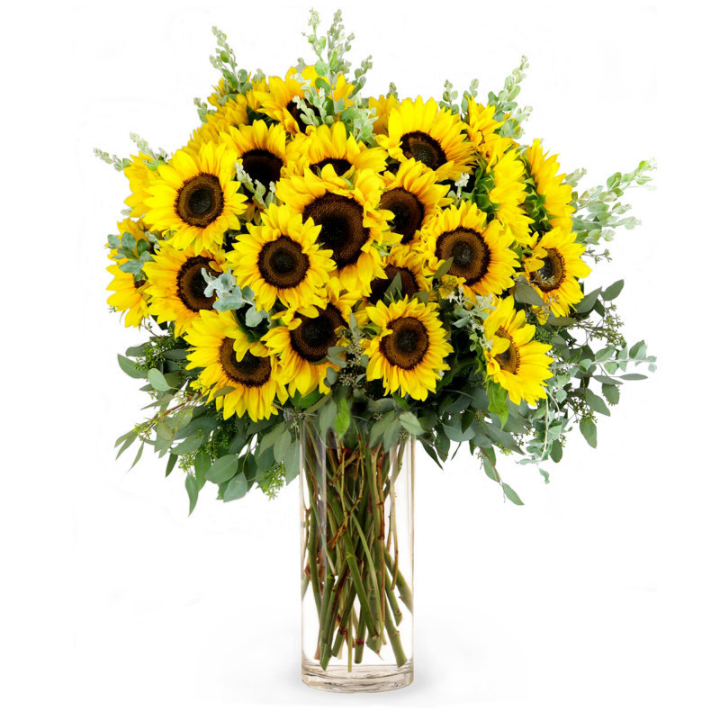 Mayfields Sunflower Fields - Same Day Delivery