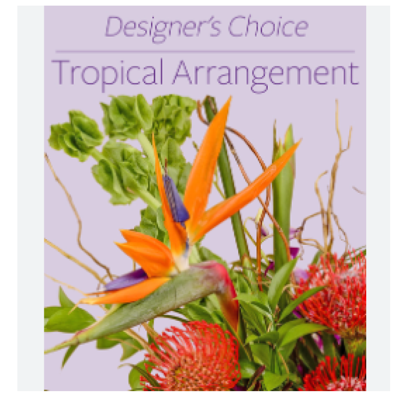 Tropical Designers Choice - Same Day Delivery