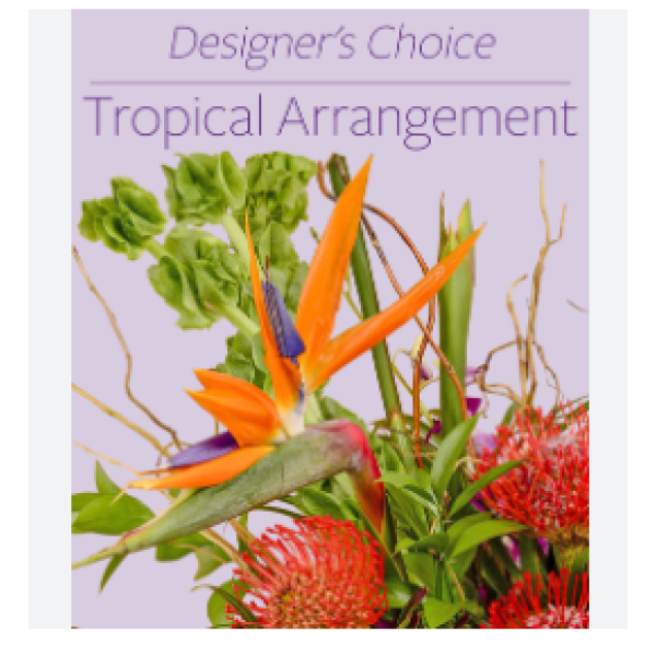 Tropical Designers Choice 